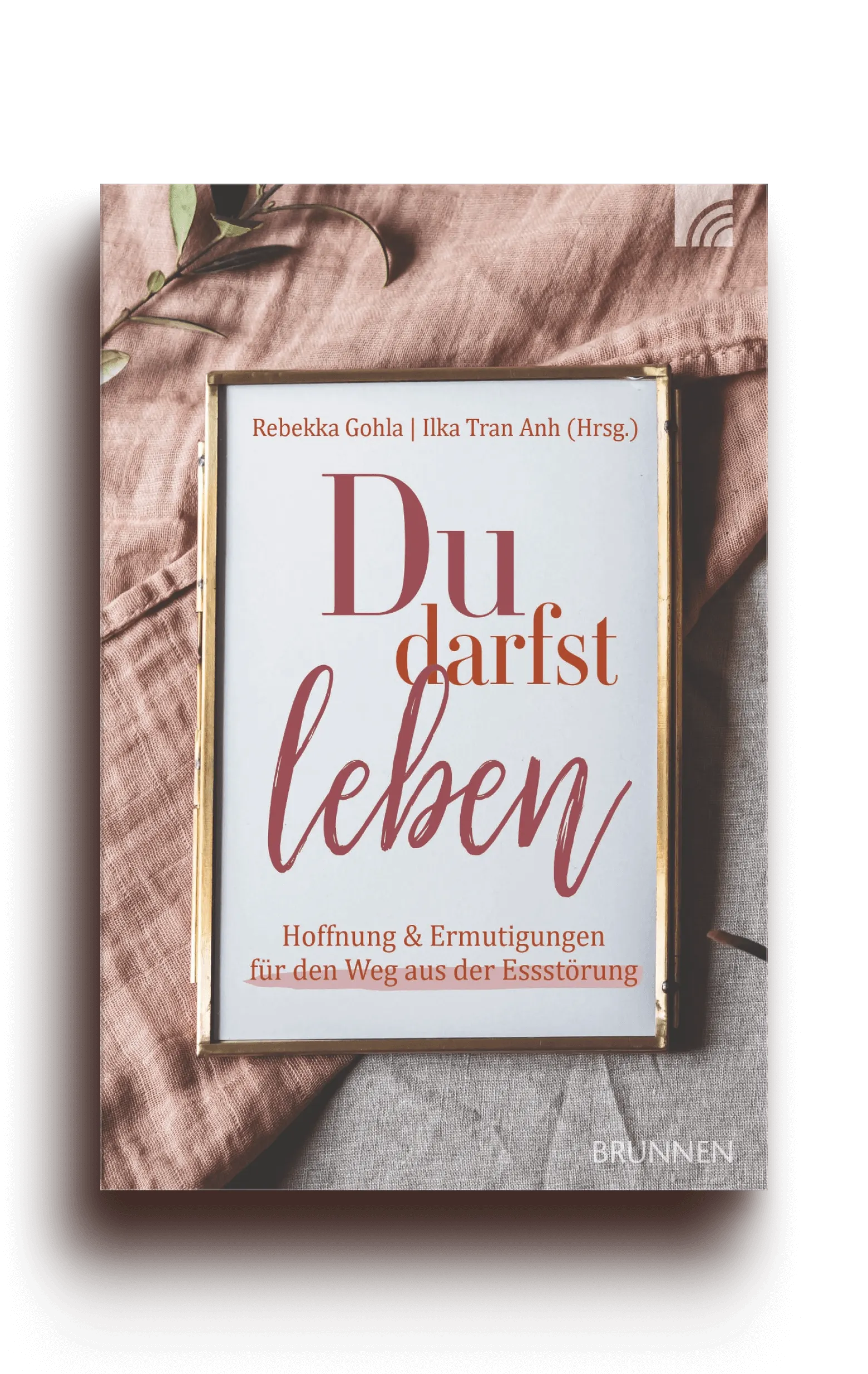 Buchcover: Autorennamen, Titel und Untertitel in einem goldenen Bilderrahmen liegend auf hellbraun und grauen Leinentüchern.